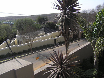 Jean Jean Guesthouse And Conference Centre Melville Johannesburg Gauteng South Africa Unsaturated, House, Building, Architecture, Palm Tree, Plant, Nature, Wood