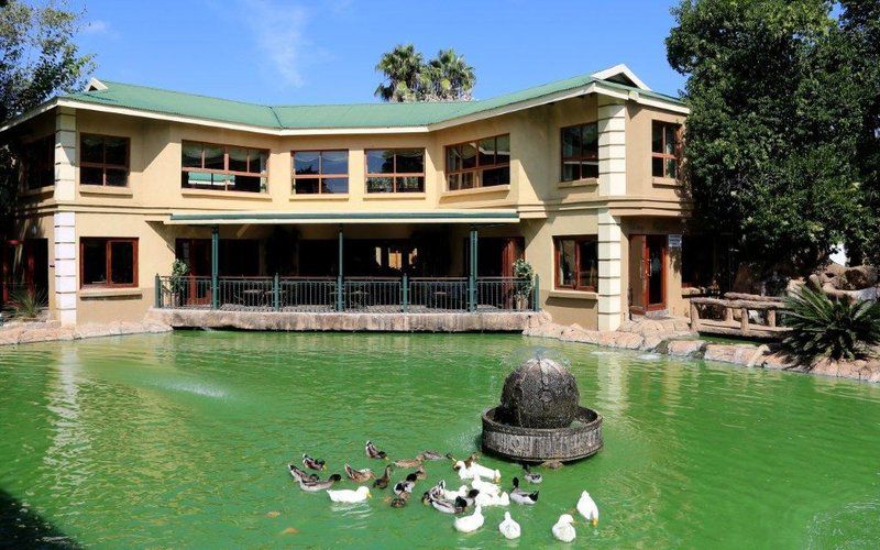 Jeannelies Guesthouse Brits North West Province South Africa Duck, Bird, Animal, House, Building, Architecture, Palm Tree, Plant, Nature, Wood, Swimming Pool