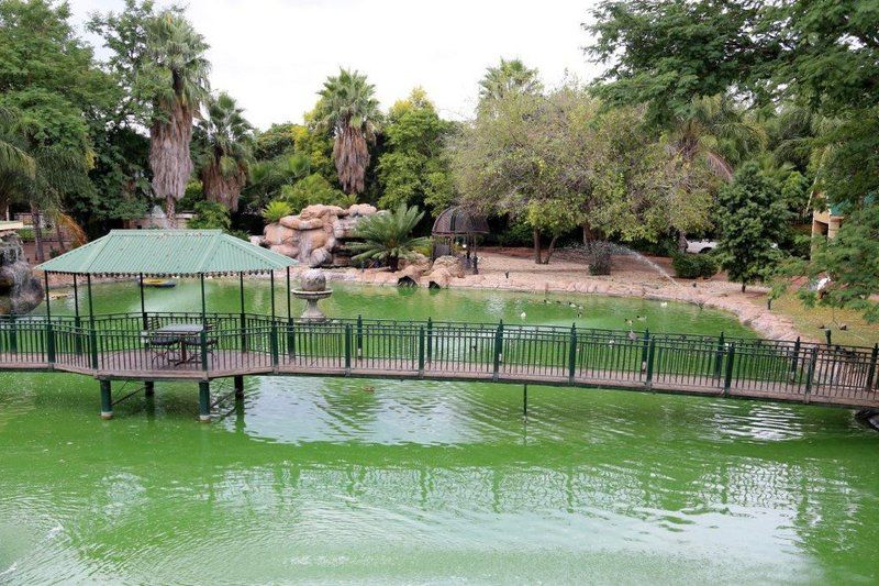 Jeannelies Guesthouse Brits North West Province South Africa Fountain, Architecture, Palm Tree, Plant, Nature, Wood, River, Waters, Garden, Swimming Pool