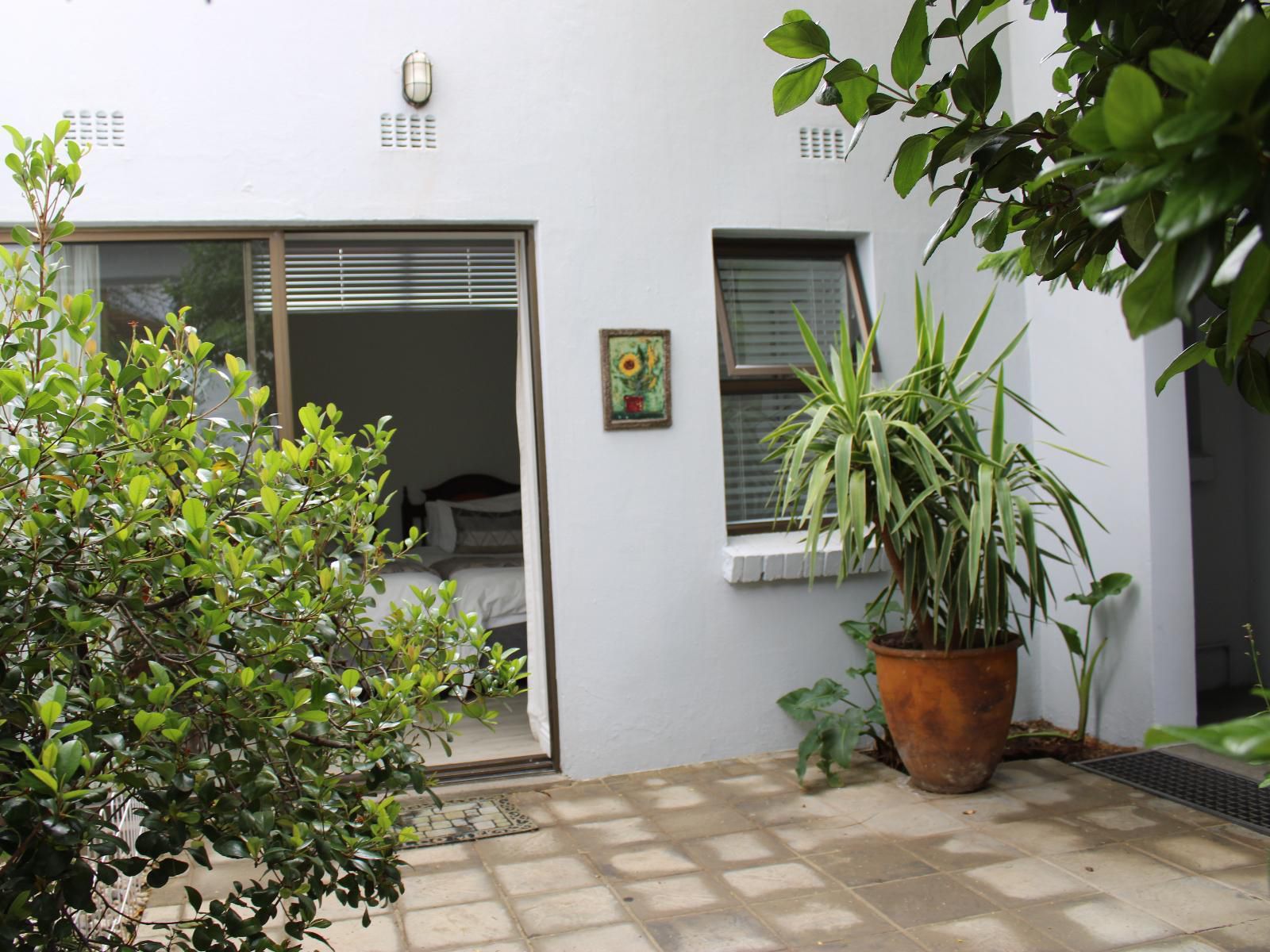 Jedidja Bed And Breakfast, Ivy Room, House, Building, Architecture, Palm Tree, Plant, Nature, Wood