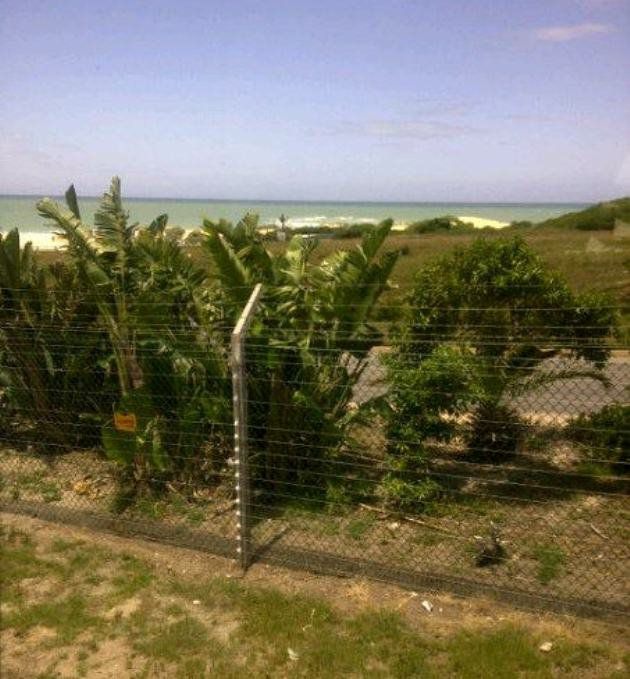 Marina Sands No 30 Jeffreys Bay Eastern Cape South Africa Complementary Colors, Beach, Nature, Sand, Palm Tree, Plant, Wood, Ball Game, Sport