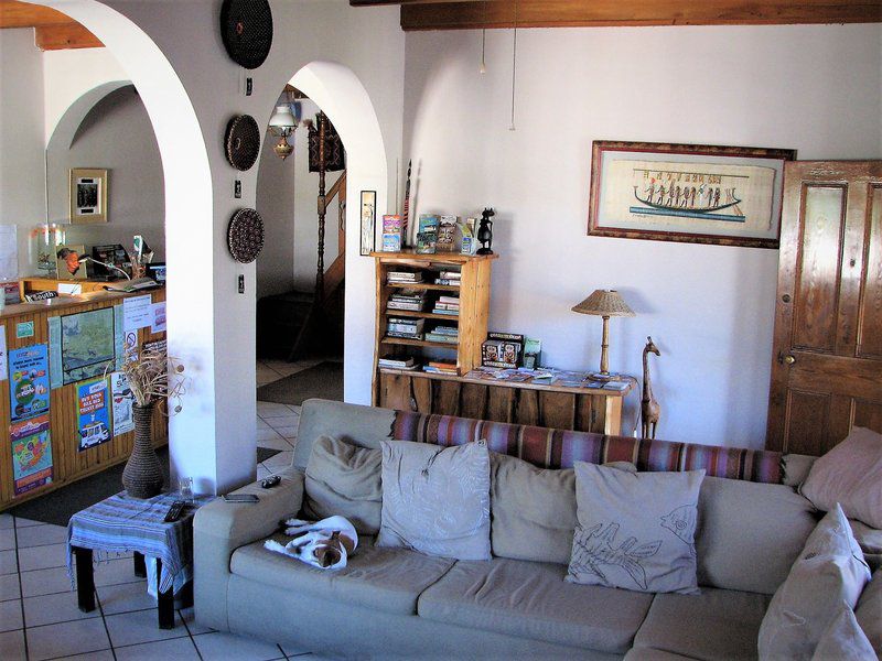 Jembjo S Knysna Lodge And Backpackers Knysna Central Knysna Western Cape South Africa Living Room