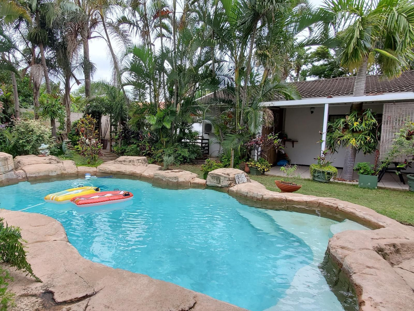 Jessica'S Self Catering, Palm Tree, Plant, Nature, Wood, Garden, Swimming Pool