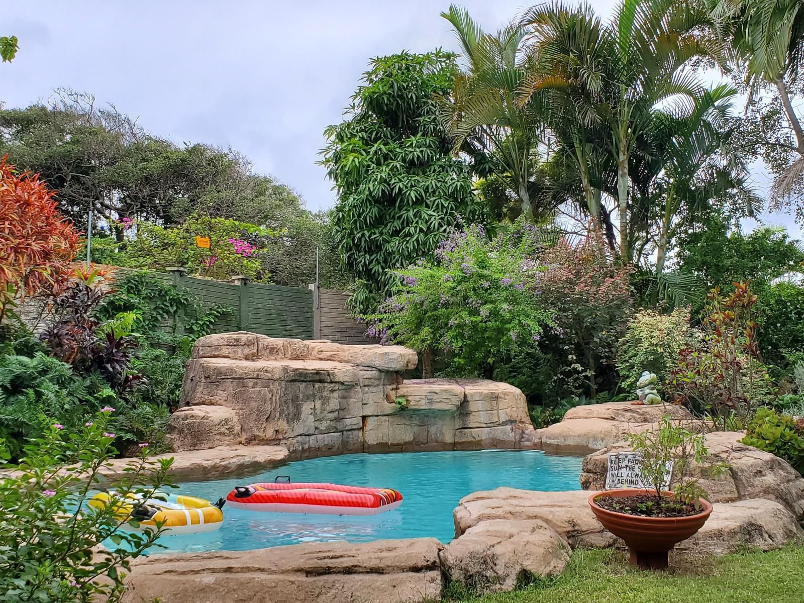 Jessica'S Self Catering, Palm Tree, Plant, Nature, Wood, Garden, Swimming Pool