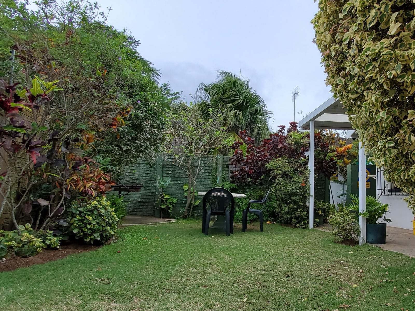 Jessica'S Self Catering, Palm Tree, Plant, Nature, Wood, Garden