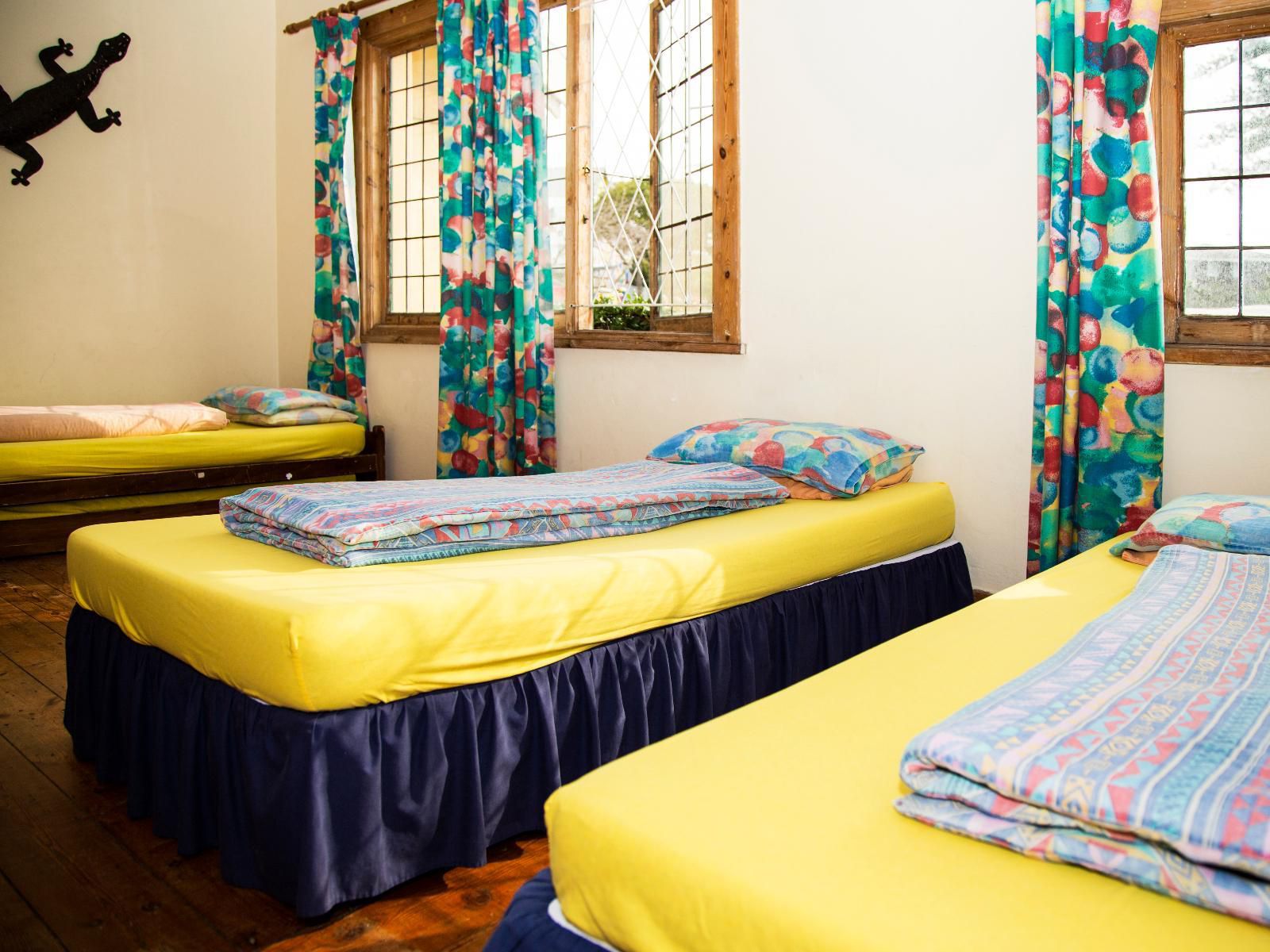 Jikeleza Backpackers Central Port Elizabeth Eastern Cape South Africa Bedroom