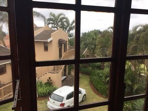 Joans Bed And Breakfast Durban North Durban Kwazulu Natal South Africa Palm Tree, Plant, Nature, Wood, Window, Architecture, Rain, Car, Vehicle