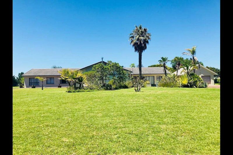 Jobelia Garden Route Villa Hoekwil Wilderness Western Cape South Africa Complementary Colors, House, Building, Architecture, Palm Tree, Plant, Nature, Wood