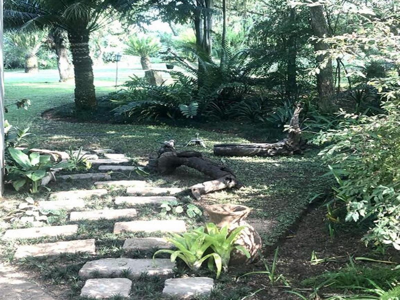 Jock Of The Bushveld Chalets, Palm Tree, Plant, Nature, Wood, Reptile, Animal