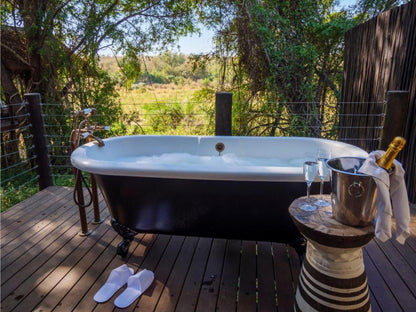 Jock Safari Lodge Kruger National Park Mpumalanga South Africa Swimming Pool