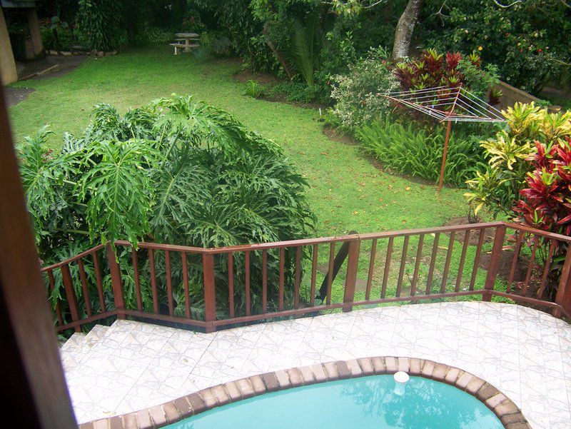 Joe And Maria Hideout Garrick House Pennington Kwazulu Natal South Africa Plant, Nature, Garden, Swimming Pool