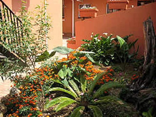 Jorene S Guest House Polokwane Pietersburg Limpopo Province South Africa Plant, Nature, Garden
