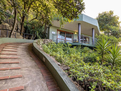 Jorn S Guest House Nelspruit Mpumalanga South Africa House, Building, Architecture, Palm Tree, Plant, Nature, Wood, Stairs, Garden