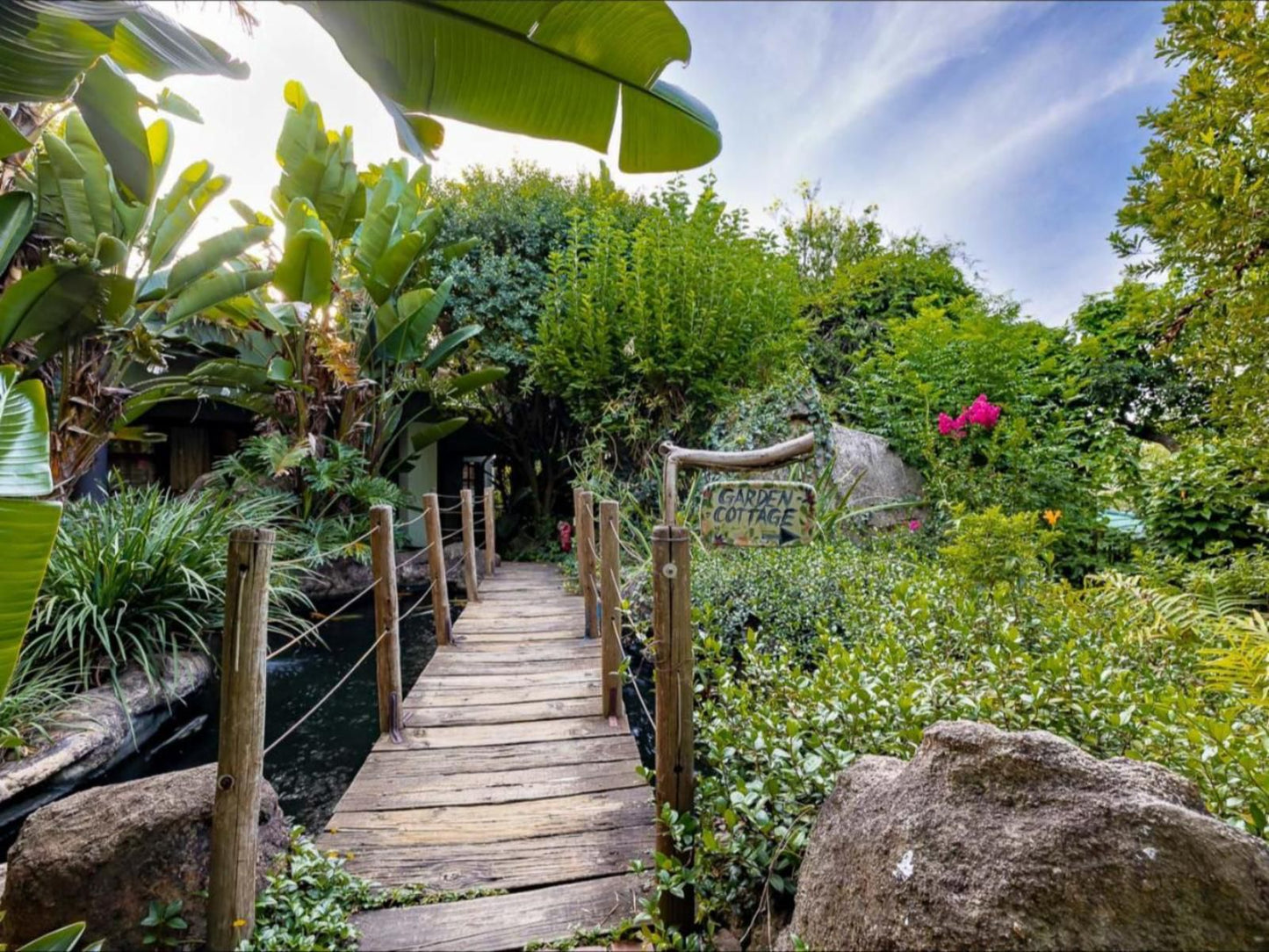 Jorn S Guest House Nelspruit Mpumalanga South Africa Plant, Nature, Garden
