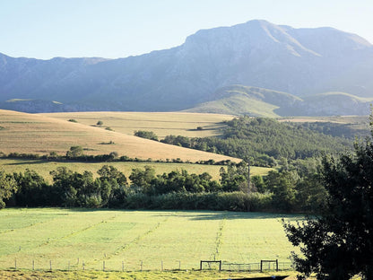 Joubertsdal Country Estate, Field, Nature, Agriculture, Mountain, Highland