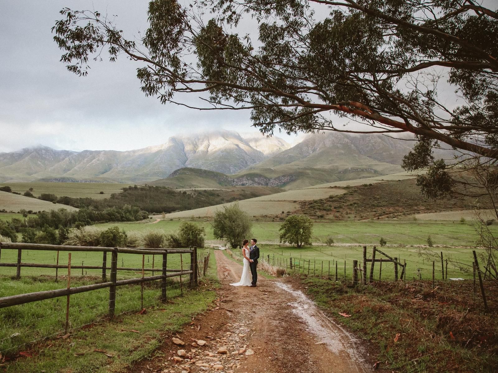 Joubertsdal Country Estate, Mountain, Nature, Highland