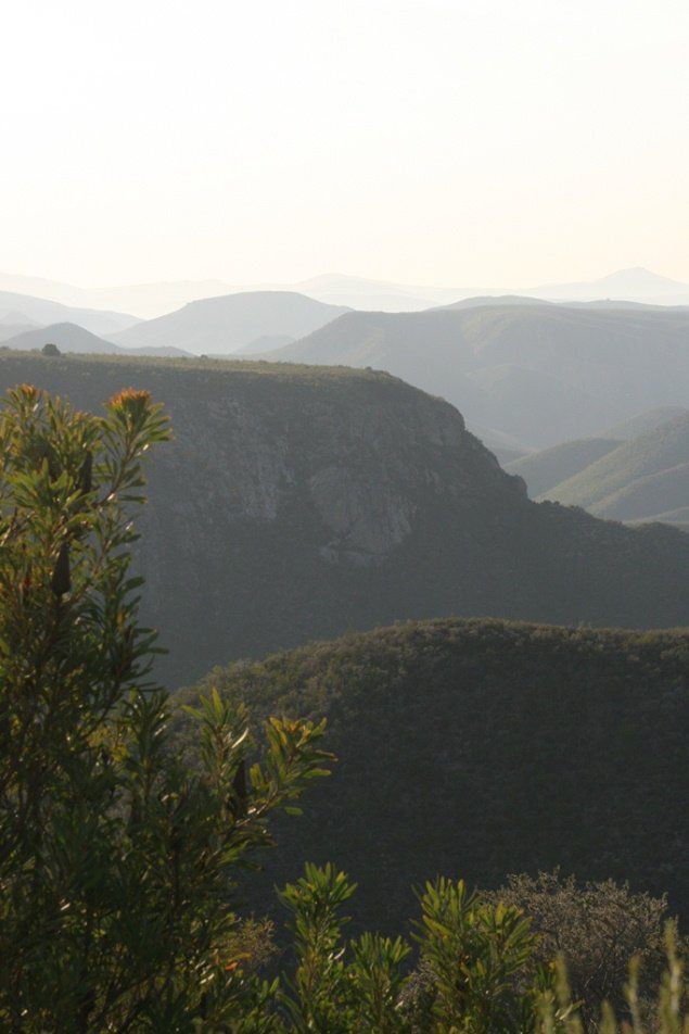 Joubertskraal Farm Kareedouw Eastern Cape South Africa Highland, Nature