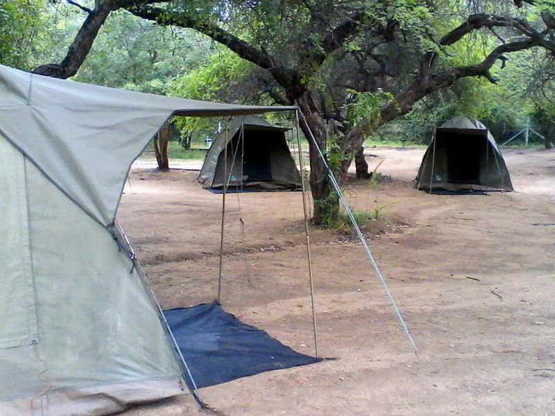 Journey Through Kruger Safari South Kruger Park Mpumalanga South Africa Tent, Architecture