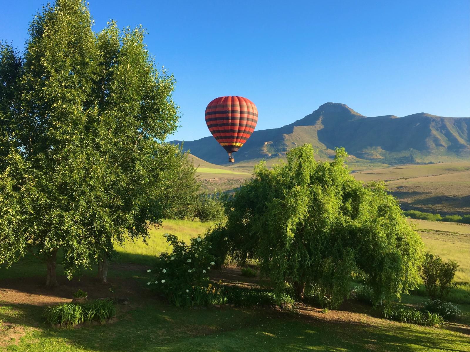 Jovali Clarens Clarens Free State South Africa Complementary Colors, Colorful, Aircraft, Vehicle, Hot Air Balloon, Nature