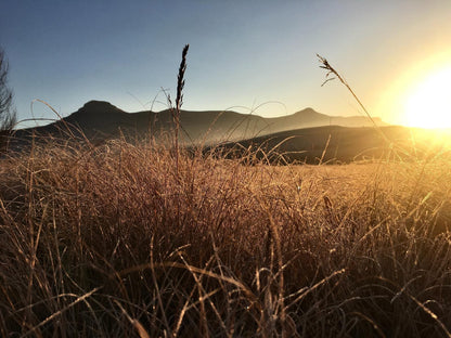 Jovali Clarens Clarens Free State South Africa Desert, Nature, Sand, Sunset, Sky