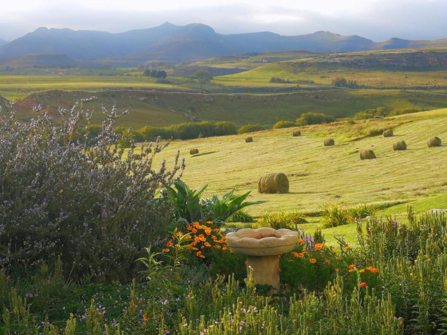 Jovali Clarens Clarens Free State South Africa Field, Nature, Agriculture, Meadow, Highland