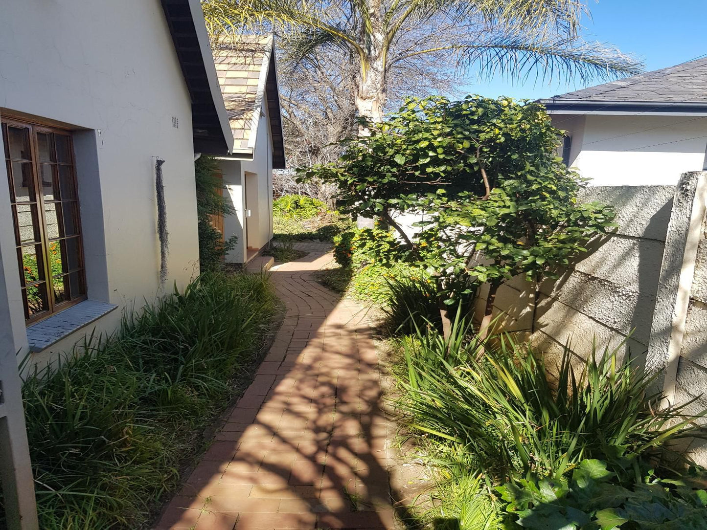 Joy On Joyce, House, Building, Architecture, Palm Tree, Plant, Nature, Wood, Garden