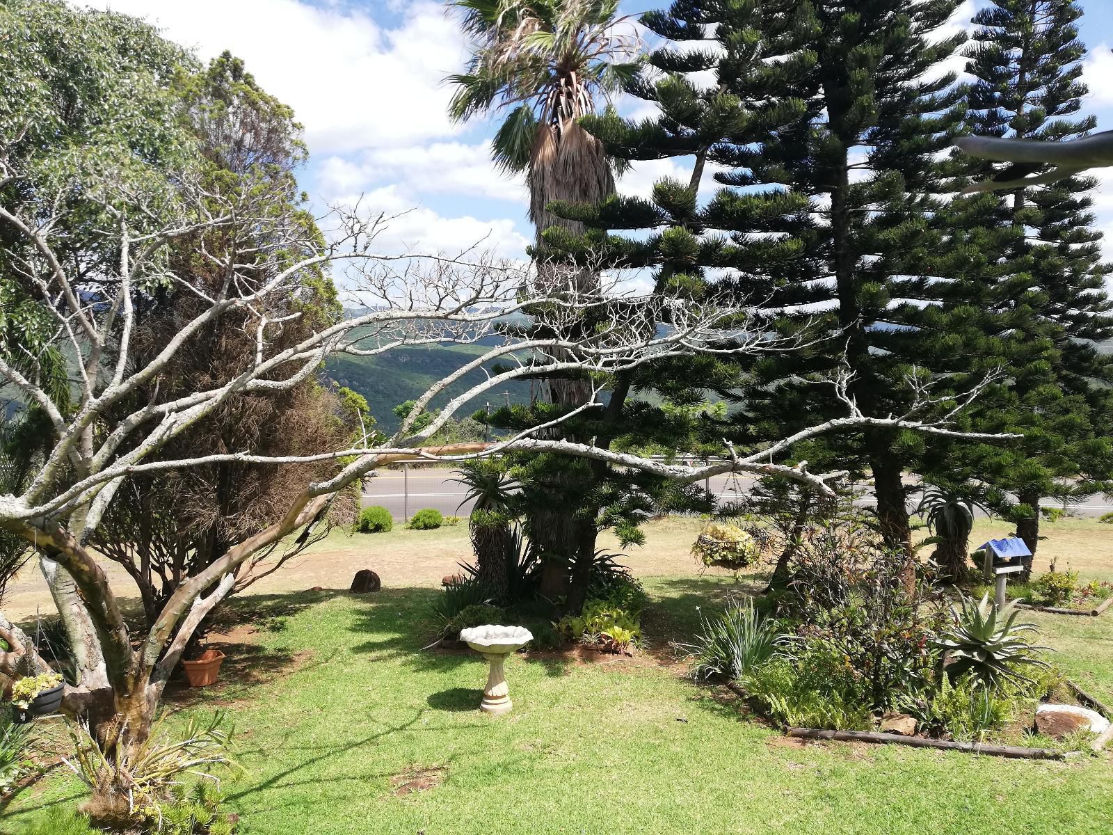 Jozini Lebombo Lodge Jozini Kwazulu Natal South Africa Palm Tree, Plant, Nature, Wood