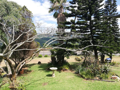 Jozini Lebombo Lodge Jozini Kwazulu Natal South Africa Palm Tree, Plant, Nature, Wood