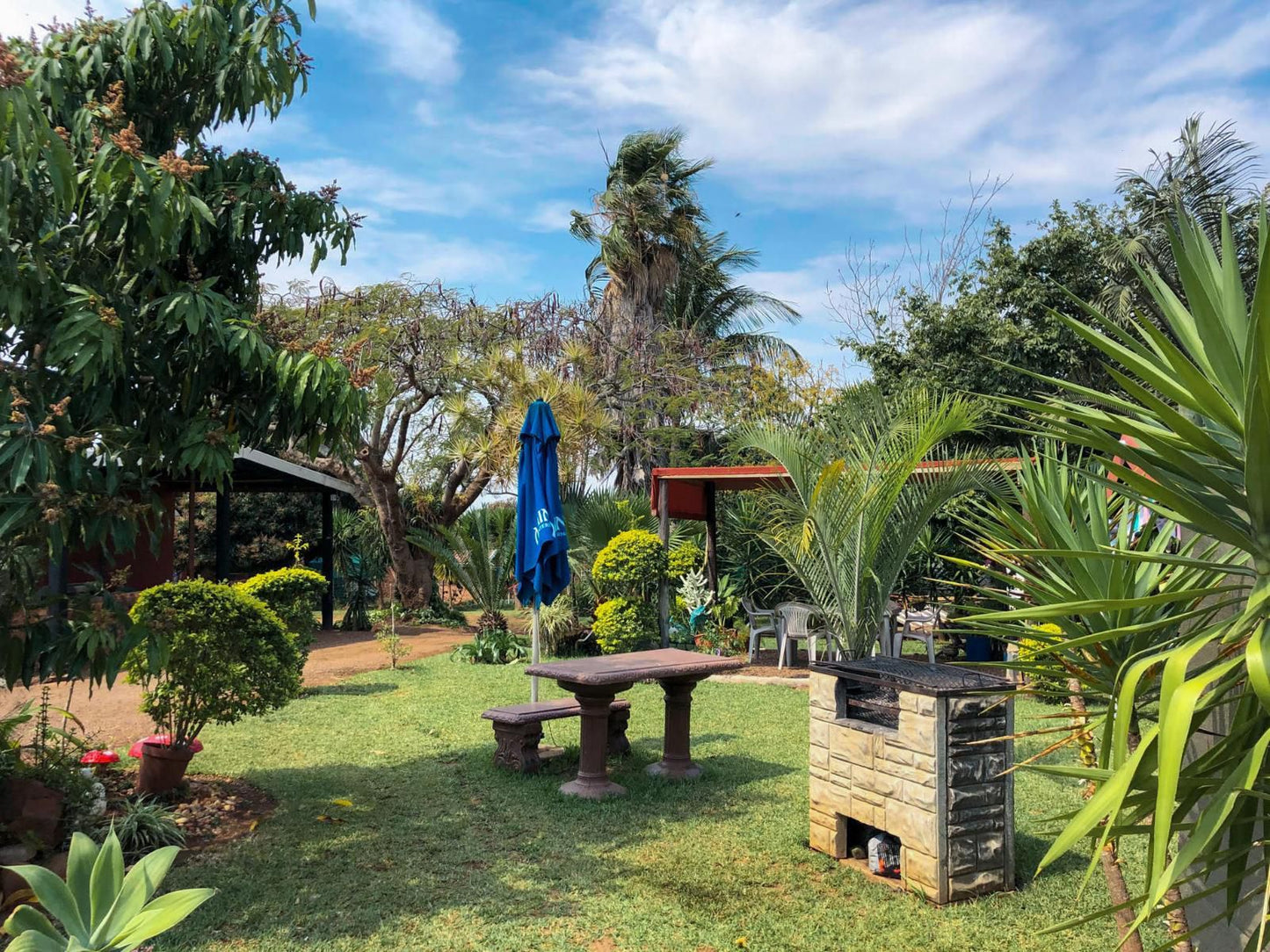 Jozini Guesthouse Jozini Kwazulu Natal South Africa Complementary Colors, Palm Tree, Plant, Nature, Wood