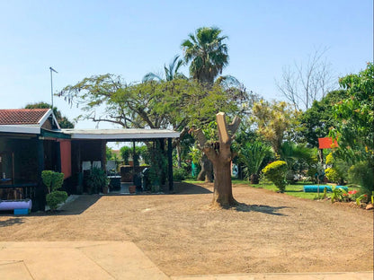 Jozini Guesthouse Jozini Kwazulu Natal South Africa Complementary Colors, Palm Tree, Plant, Nature, Wood