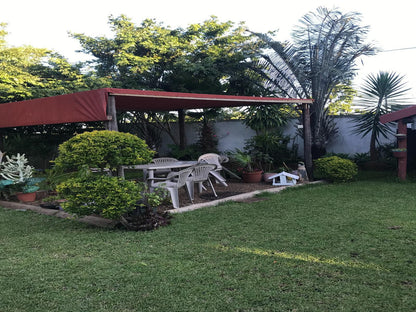 Jozini Guesthouse Jozini Kwazulu Natal South Africa Palm Tree, Plant, Nature, Wood