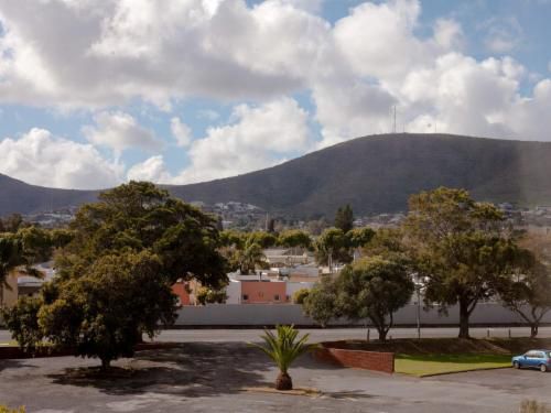 Julina S Guest House Parow North Cape Town Western Cape South Africa Mountain, Nature, Palm Tree, Plant, Wood