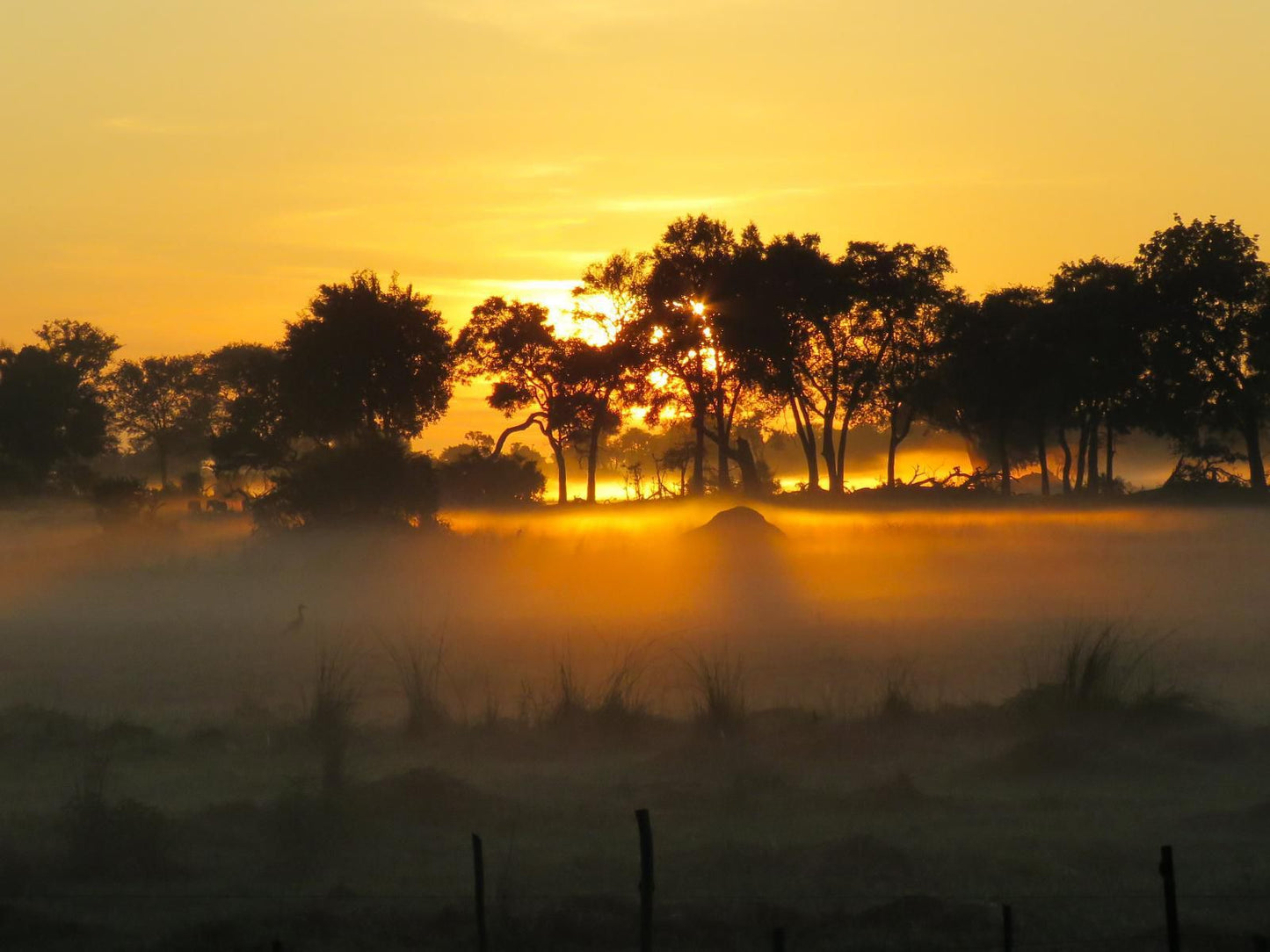 Jumbo Junction Camp Okavango Delta North West Botswana Nature, Sunset, Sky