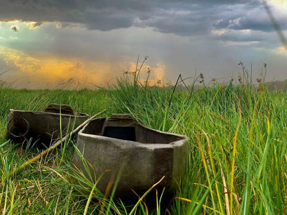 Jumbo Junction Camp Okavango Delta North West Botswana Field, Nature, Agriculture, Lowland