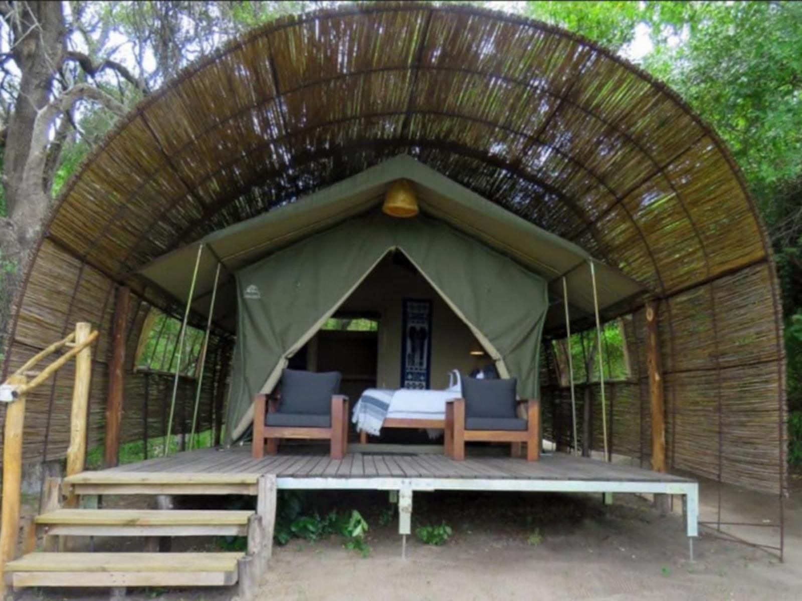 Jumbo Junction Camp Okavango Delta North West Botswana 