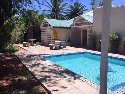 Jungnickel Guesthouse Kimberley Northern Cape South Africa Palm Tree, Plant, Nature, Wood, Swimming Pool