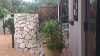 Just 1 More Riversdale Western Cape South Africa Palm Tree, Plant, Nature, Wood, Garden