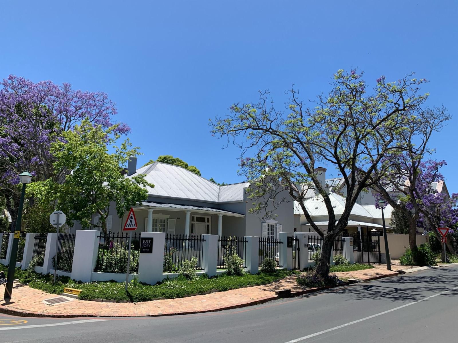 Just Joey Lodge Stellenbosch Western Cape South Africa House, Building, Architecture