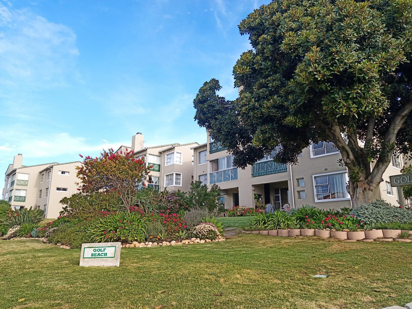 Just Property Strand Western Cape South Africa Complementary Colors, House, Building, Architecture, Palm Tree, Plant, Nature, Wood