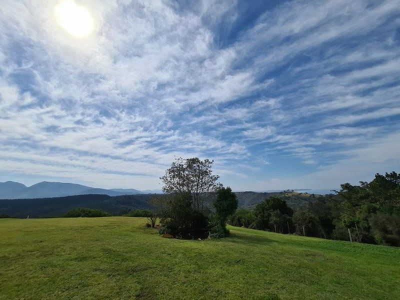 Kaaimans Holiday House Wilderness Western Cape South Africa Complementary Colors, Sky, Nature, Tree, Plant, Wood, Highland