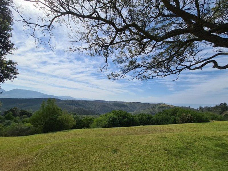 Kaaimans Holiday House Wilderness Western Cape South Africa Complementary Colors, Tree, Plant, Nature, Wood