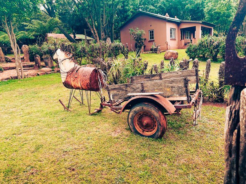 Kaapsehoop Horse Trails Kaapsehoop Mpumalanga South Africa 