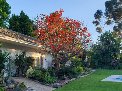 Kaapsepracht Bed And Breakfast Greenway Rise Somerset West Western Cape South Africa House, Building, Architecture, Plant, Nature, Garden