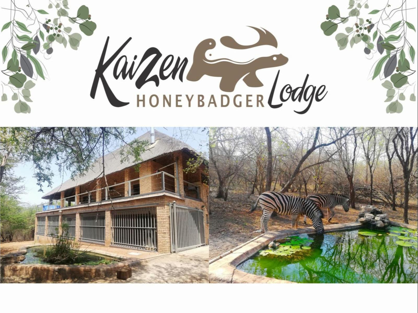 Kaizen Honeybadger Lodge Marloth Park Mpumalanga South Africa Animal