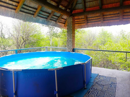 Kaizen Honeybadger Lodge Marloth Park Mpumalanga South Africa Complementary Colors, Swimming Pool