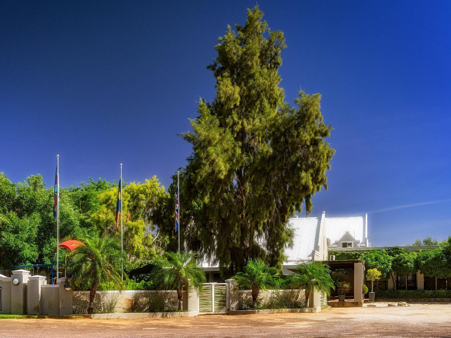Kakamas Hotel Kakamas Northern Cape South Africa Complementary Colors, Colorful, Palm Tree, Plant, Nature, Wood