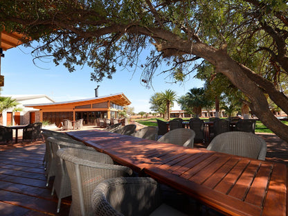 Kalahari Anib Lodge, Gondwana Collection Namibia, Palm Tree, Plant, Nature, Wood, Bar