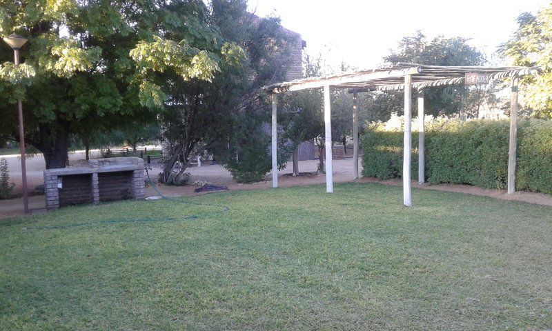 Kalahari Camelthorn Caravan Park And Guesthouse Askham Northern Cape South Africa Unsaturated, Palm Tree, Plant, Nature, Wood, Ball Game, Sport, Garden, Swimming Pool