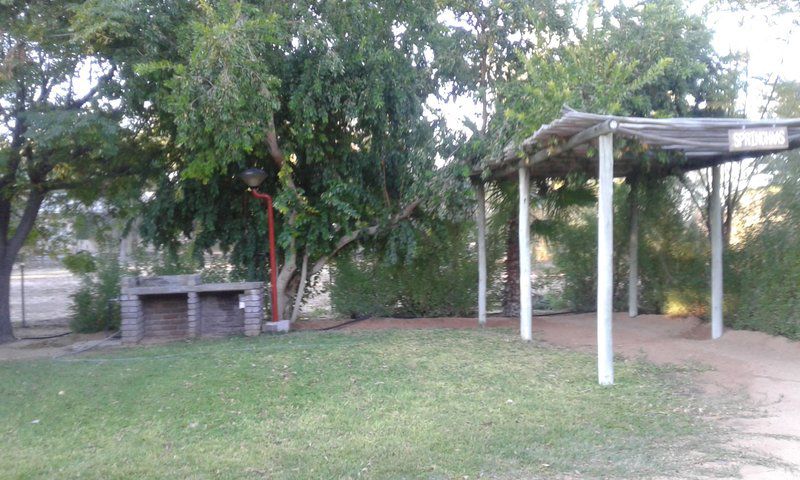 Kalahari Camelthorn Caravan Park And Guesthouse Askham Northern Cape South Africa Unsaturated, Tree, Plant, Nature, Wood