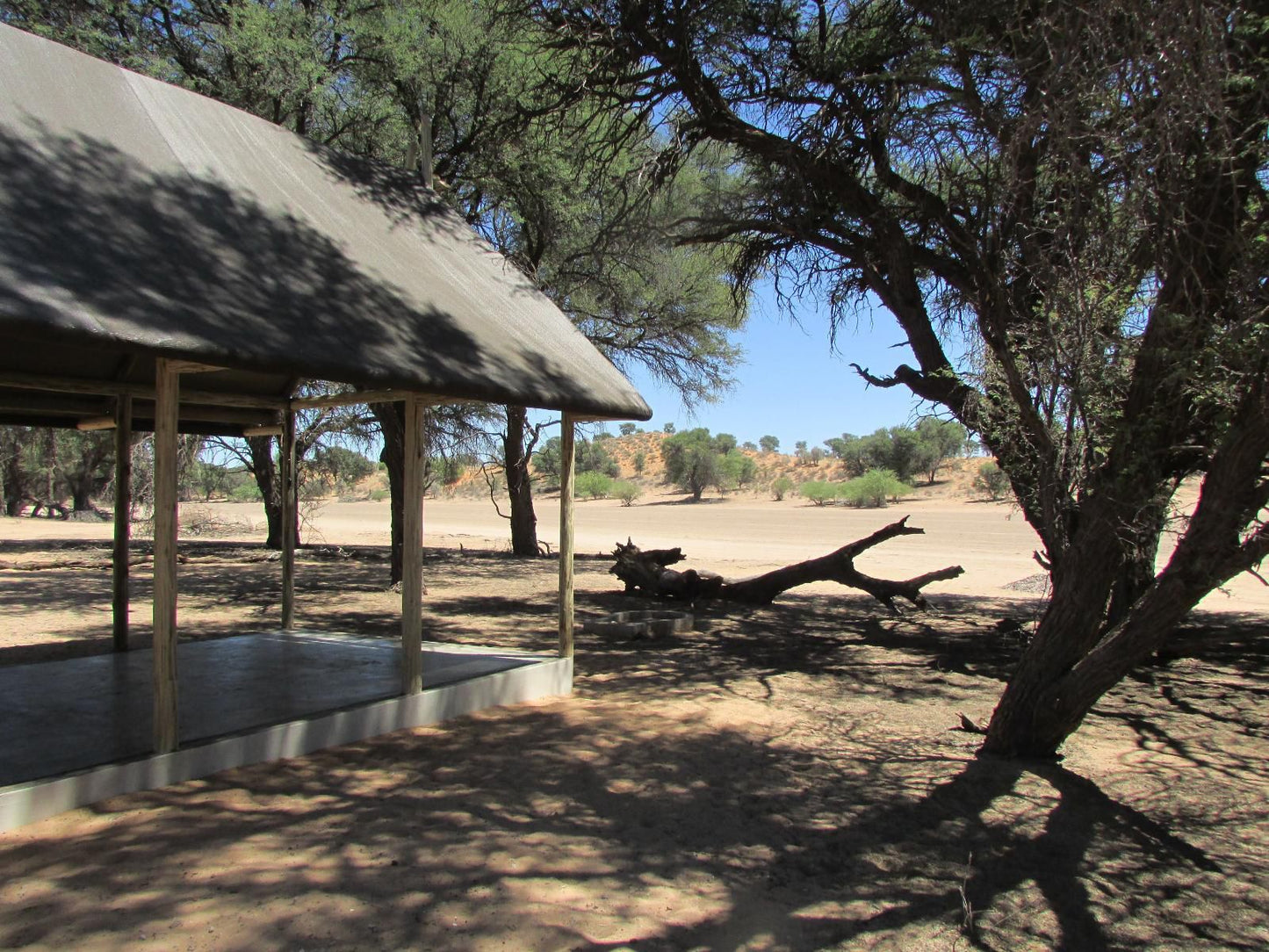 Kalahari Game Lodge, Luxury En-suite Chalet, Desert, Nature, Sand